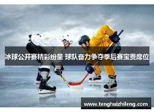 冰球公开赛精彩纷呈 球队奋力争夺季后赛宝贵席位