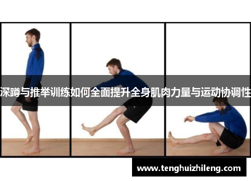 深蹲与推举训练如何全面提升全身肌肉力量与运动协调性