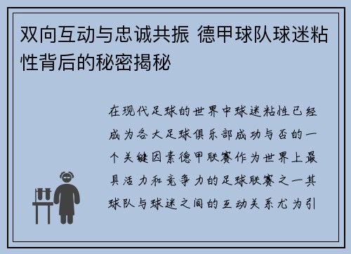双向互动与忠诚共振 德甲球队球迷粘性背后的秘密揭秘