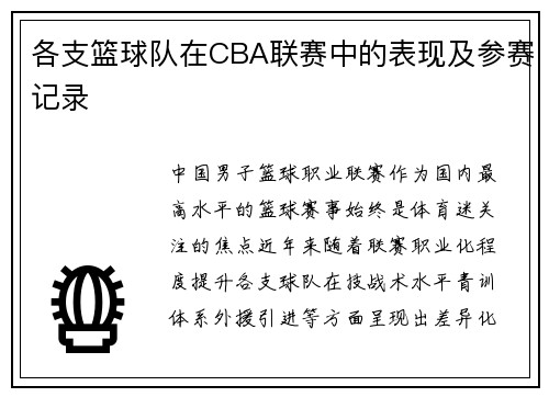 各支篮球队在CBA联赛中的表现及参赛记录