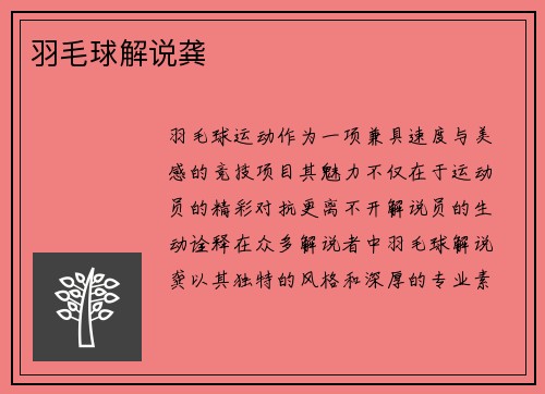 羽毛球解说龚